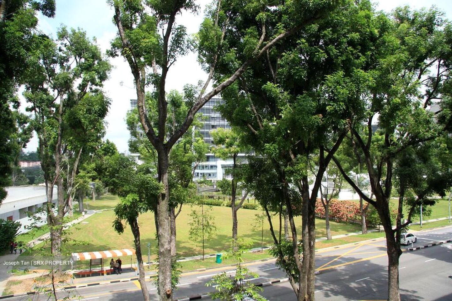 Blk 932 Yishun Central 1 (Yishun), HDB 5 Rooms #519384601